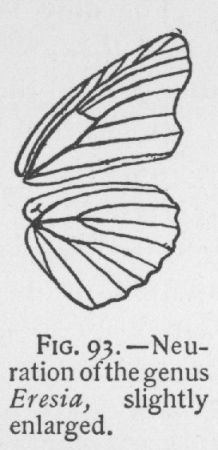 Frisia (detail)