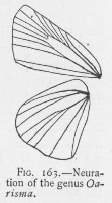 Garita (detail)