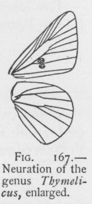Whirlabout (detail)
