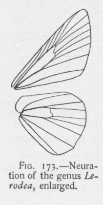 Eufala (detail)