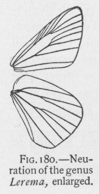 Accius (detail)