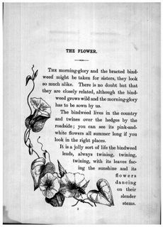 Flowers and their Friends