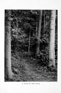 Trees Worth Knowing (Rogers)