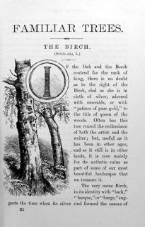Unknown - British Trees (one file per tree)